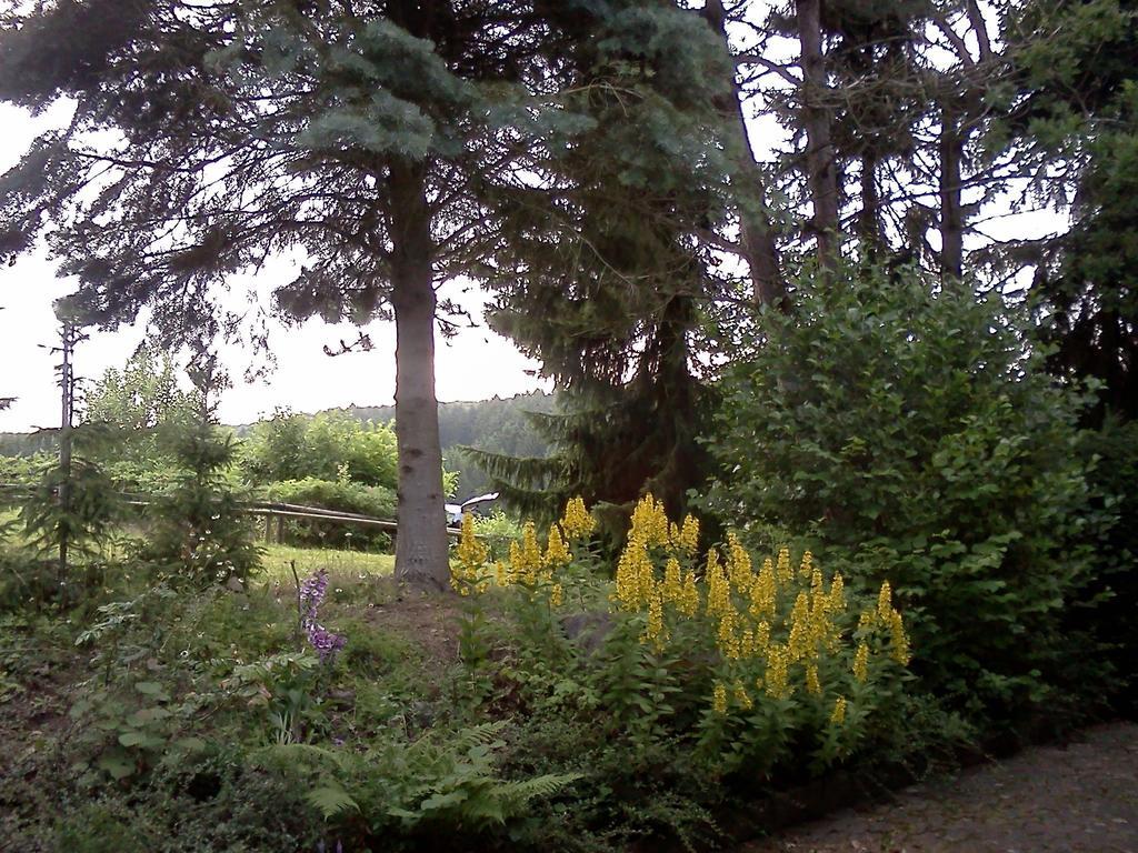 Villa Haus am Wald Lissendorf Zimmer foto